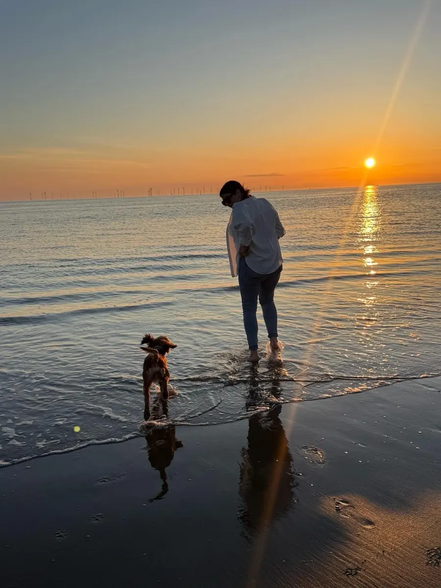 Luna enjoying a walk on the beach
